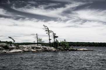 Windswept trees on granite rocks of lakeshore.