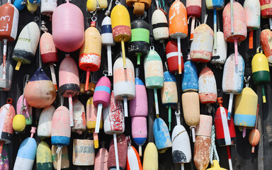 Large group of colorful buoys on a wall in Maine.