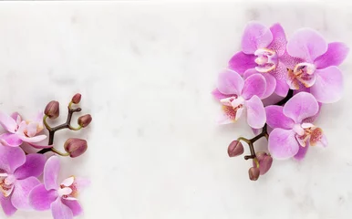 Fototapeten Pink orchid theme objects on pastel background. © gitusik
