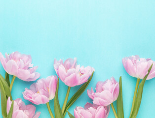 Pink tulip flowers on pastel background.