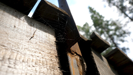 Old Cobwebs in abandoned house. The spider net under the roof. Cobwebs under the roof