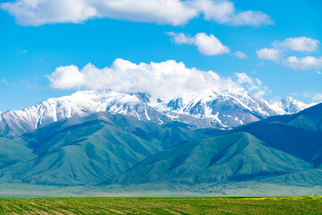 Fototapeta premium Big mountains with a green clearing. Mountains with a green field. A green glade with stunning mountains on the background