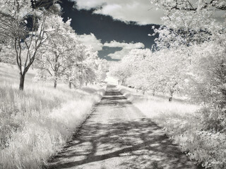 Infrared IR