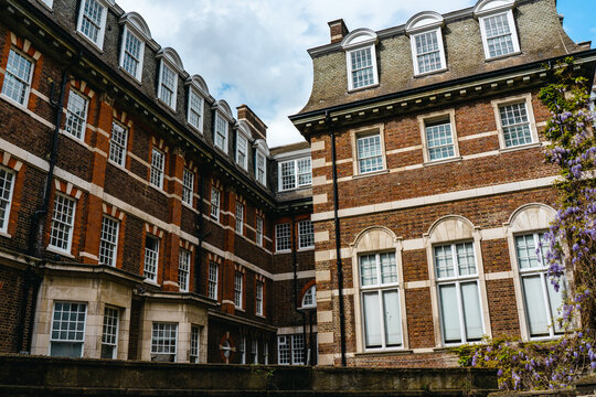 LONDON, UNITED KINGDOM - 22.04.2022: A residential street in south east London. Beautiful garden in the background. High quality photo