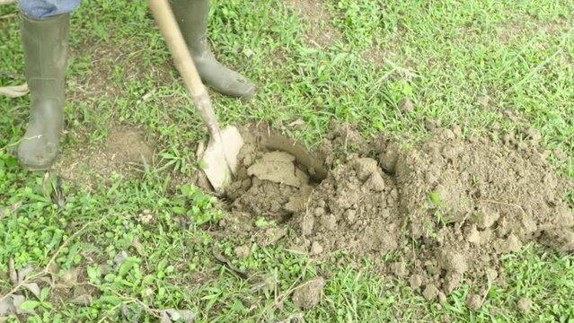 sembrar plantas