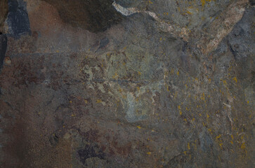 brown stone texture close-up