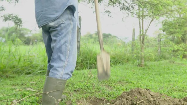 cavar para sembrar plantas.