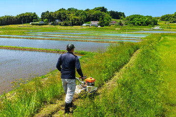 日本の農業　五月晴れ休耕田畔の自走式草刈機による除草作業 - obrazy, fototapety, plakaty
