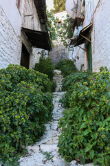 Fototapeta na wymiar typical streets and traditional houses with nice doors and flowers in the city of Berat, Albania