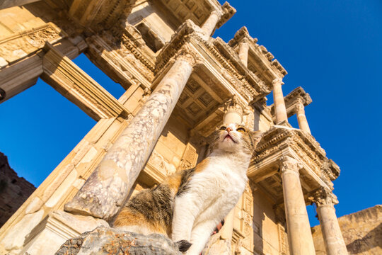 Celsius Library in Ephesus, Turkey