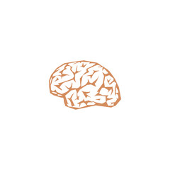 Brain icon isolated on white background