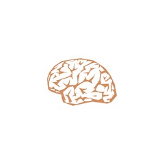 Brain icon isolated on white background