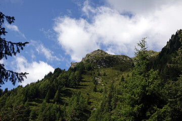 Orenknott bei Giggelberg