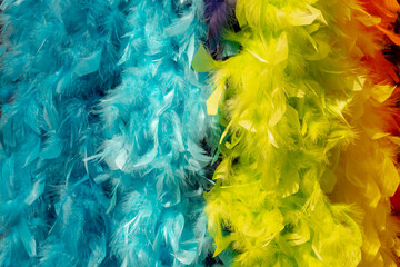 Multi color of artificial fur plumage scarf, Colourful rainbow gatsby feather fluffy for party vintage fancy dress costume, Abstract pattern texture background.