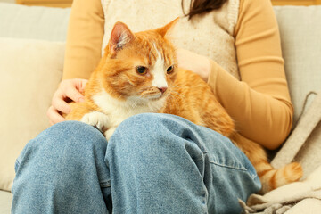 Woman with cute cat at home, closeup
