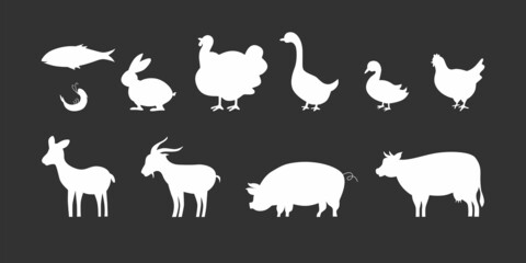 Meat symbols set for product packaging label design, butchery shop, menu in restaurant. Vector stock illustration isolated on black chalkboard background. 