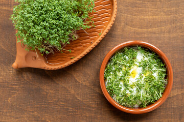 Fresh Garden cress plant sprouts with yoghurt and olive oil dish.