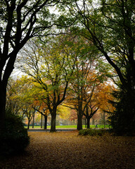 Fototapeta premium Stadtpark Hamburg 3