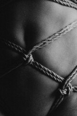 Shibari rope on naked girl around torso and breasts close-up