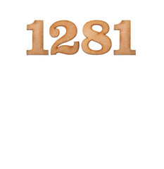 Number 1281 - Piece of wood isolated on white background