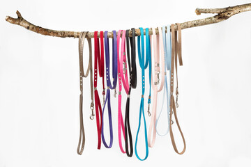dog leashes 
