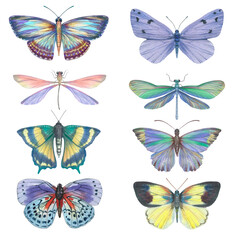 Fototapeta na wymiar Set of watercolor butterflies isolated on white background. Butterflies drawn on paper for design, print, wallpaper, textile.