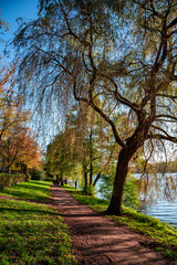 Alster in Autumn 2
