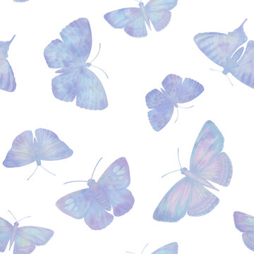 Set of delicate butterflies collected in a seamless pattern isolated on a white background. © Sergei