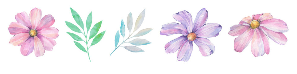 Set of watercolor leaves and flowers for design