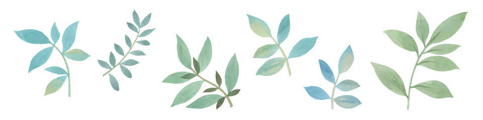 Set of twigs isolated on white background. Watercolor, green leaves for design.