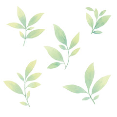 Set of leaves isolated on white background.