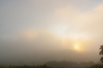 The sun shines through the fog in the early morning