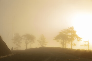 The sun shines through the fog in the early morning