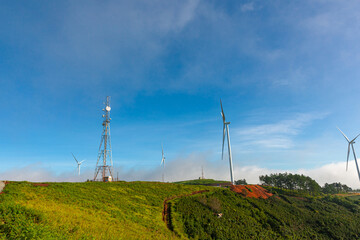 Fototapeta na wymiar Renewable energy wind turbines windmill isolated on the beautiful blue sky, white clouds and on the tea fields in Da Lat city, Lam Dong, Viet Nam