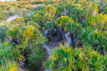 Elevated View of Nature Trails In Rotary Park Environmental Center, Cape Coral, Florida, USA