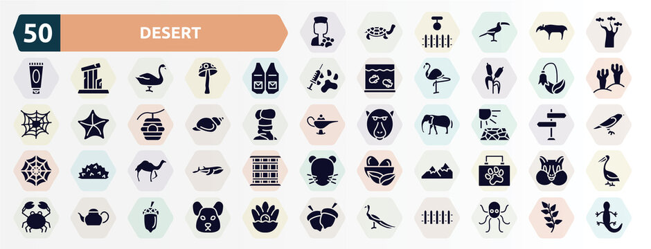 desert filled icons set. glyph icons such as veterinarian, baobab, waistcoat, harebell, shell, crack, dromedary, mountains, teapot, peacock icon.