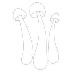Set of mushrooms vector simple illustration isolated on white background. Outline hand drawn sketched version. Vector mycology. Natural healthy fungus, autumn design.