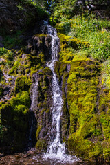 Obraz premium waterfall in the forest