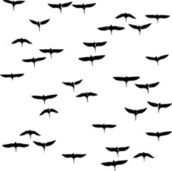 flock of birds seamless pattern