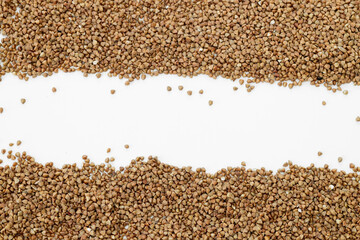 buckwheat grain isolated on white background close up with copy space for your text.