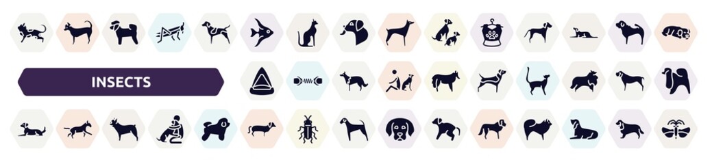 insects filled icons set. glyph icons such as toyger cat, angelfish, pet clothing, cat playhouse, beagle, dog lying, french bulldog, dachshund, st bernard icon.