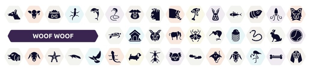 woof woof filled icons set. glyph icons such as doberman dog head, poisonous cobra, rabbit head, swimming turtle, kiwi eating, angry dog, starfish with dots, curved lizard, stingray with long tail,