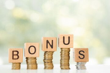 Word bonus and stack coins on green background.