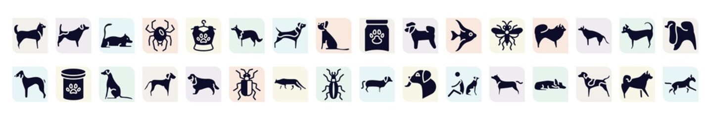 dog breeds heads filled icons set. glyph icons such as husky, laying cat, collie, bichon, chow chow, pet food, springer spaniel, snowshoe cat, american staffordshire terrier icon.