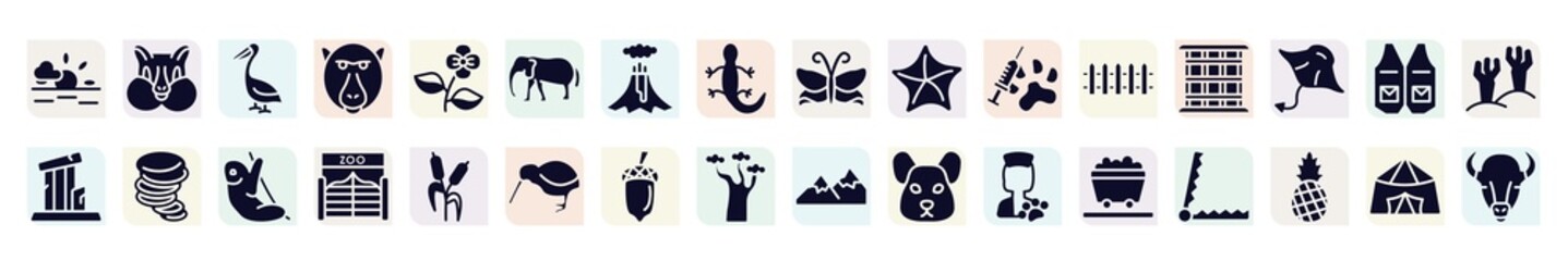 animal head filled icons set. glyph icons such as sun, pelican, elephants, starfish, cage, tornado, zoo, acorn, wagon icon.