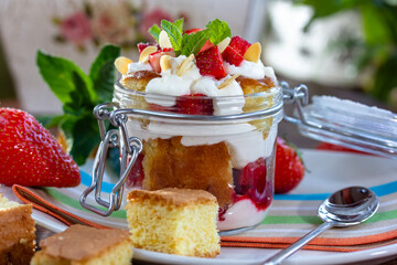 Layered Dessert of chocolate sponge cake, whipped cream or ricotta and fresh strawberries in a glass bowl. Trifle. Delicious gourmet breakfast.