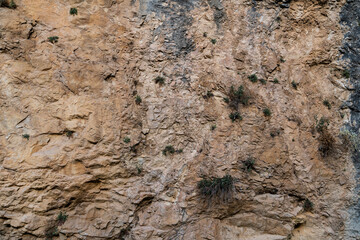 Texture of the rock  wall stone.