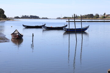 Barcos da ria de Aveiro