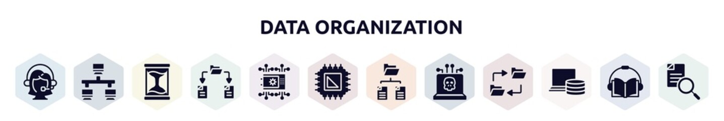 data organization filled icons set. glyph icons such as assistant, lan, sand timer, file sharing, crypto vault, processor, folder network, dangerous, computer storage icon.