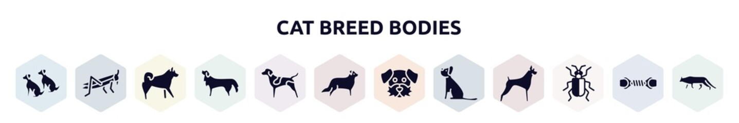 cat breed bodies filled icons set. glyph icons such as dogs, locust, malamute, bernese mountain dog, german shorthaired pointer, bernese mountain, dog moustache, yorkshire terrier, asparagus beetle,
